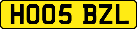 HO05BZL