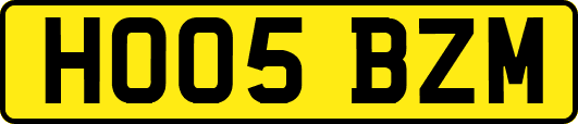 HO05BZM