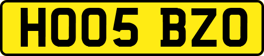 HO05BZO