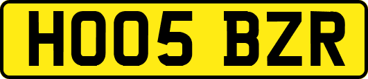 HO05BZR