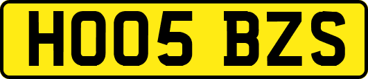 HO05BZS