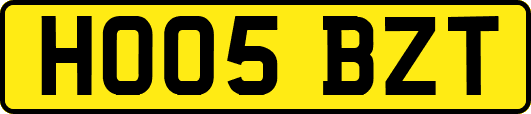 HO05BZT