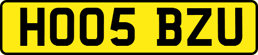HO05BZU
