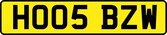 HO05BZW