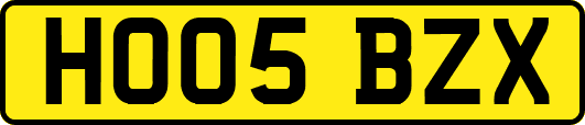 HO05BZX