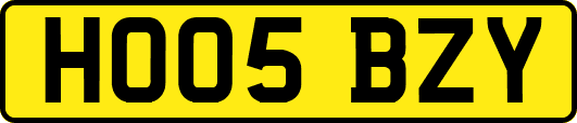 HO05BZY