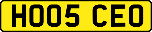 HO05CEO