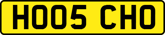 HO05CHO