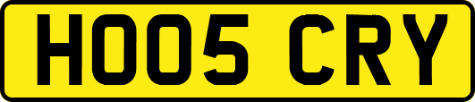 HO05CRY