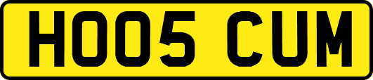 HO05CUM