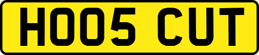 HO05CUT