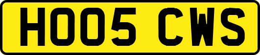 HO05CWS