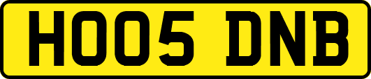 HO05DNB