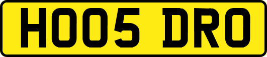 HO05DRO