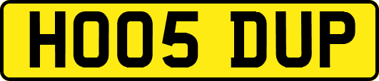 HO05DUP