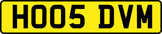 HO05DVM