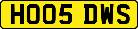 HO05DWS