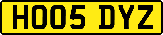 HO05DYZ