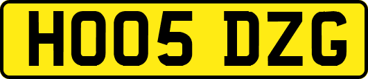 HO05DZG