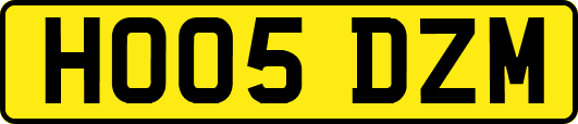 HO05DZM