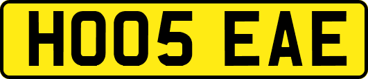 HO05EAE