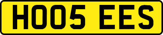 HO05EES