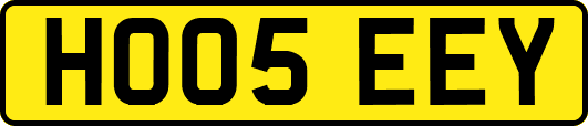 HO05EEY