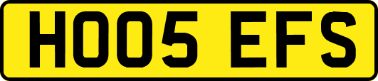 HO05EFS