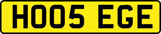 HO05EGE