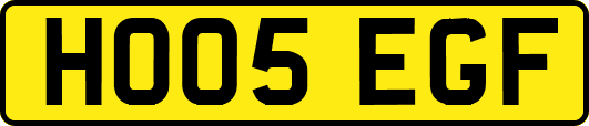 HO05EGF