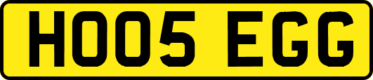 HO05EGG