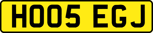 HO05EGJ