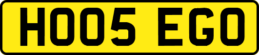 HO05EGO