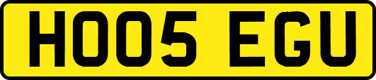 HO05EGU