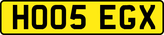HO05EGX