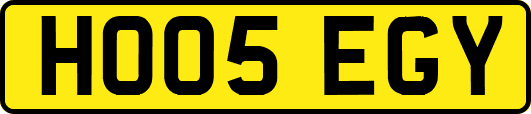 HO05EGY