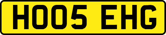 HO05EHG