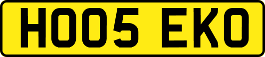 HO05EKO