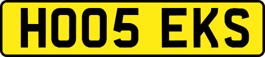 HO05EKS