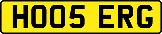 HO05ERG