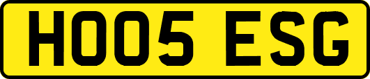 HO05ESG
