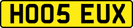 HO05EUX