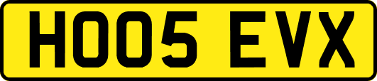 HO05EVX