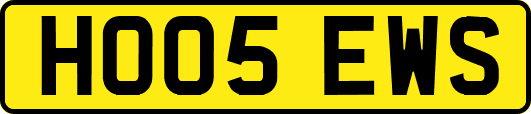 HO05EWS