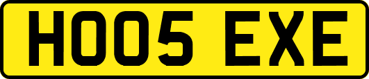HO05EXE
