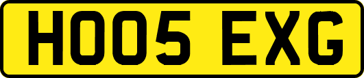 HO05EXG