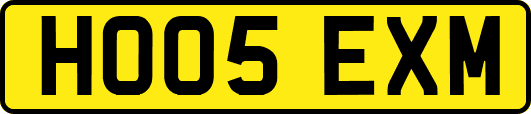 HO05EXM