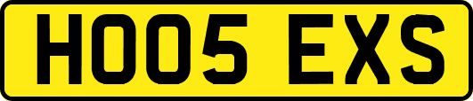 HO05EXS