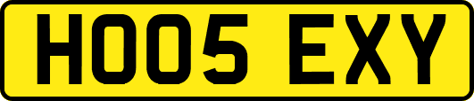 HO05EXY
