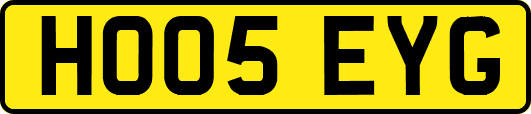 HO05EYG